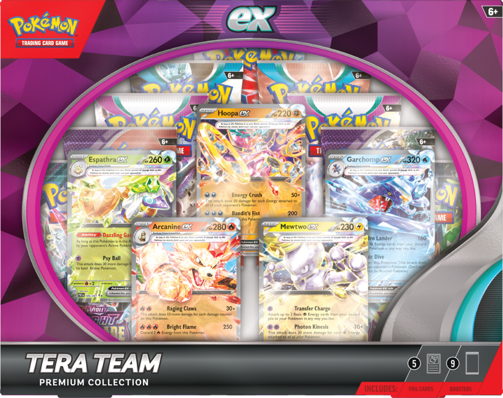 TCG Tera Team Box
